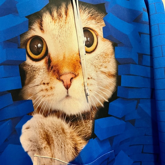 Cat themed sweatshirt with hoodie. Unisex - Picture 14 of 16